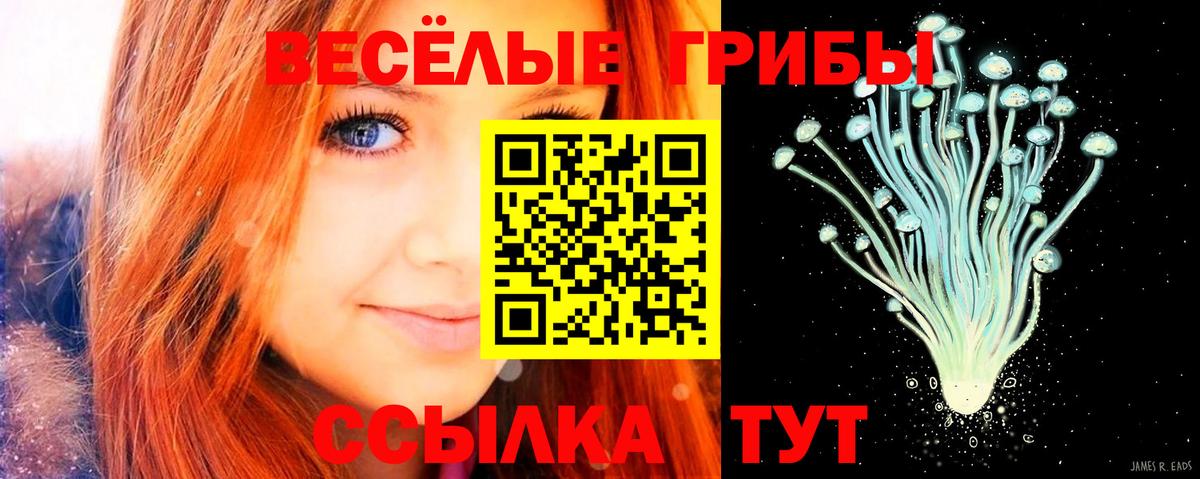 Псилоцибиновые грибы Cubensis  Вход с VPN  Нурлат 